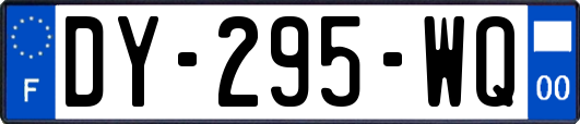 DY-295-WQ