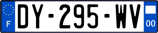 DY-295-WV