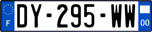 DY-295-WW