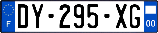 DY-295-XG