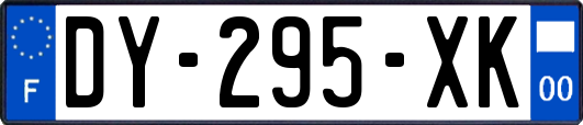 DY-295-XK