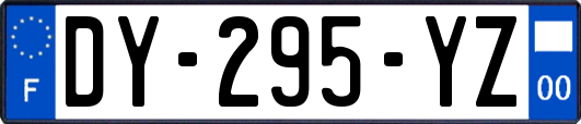 DY-295-YZ