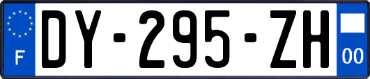 DY-295-ZH