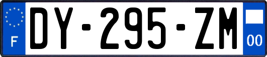 DY-295-ZM