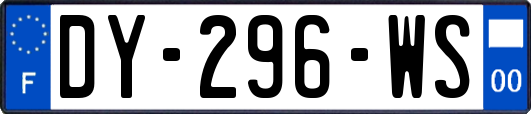 DY-296-WS