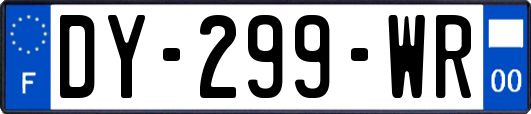 DY-299-WR