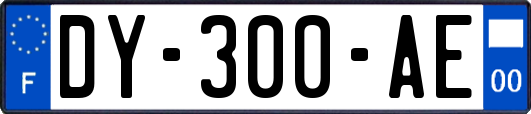 DY-300-AE