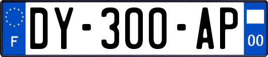 DY-300-AP