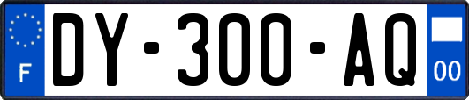 DY-300-AQ