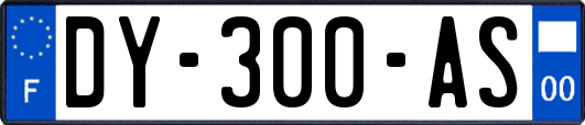 DY-300-AS