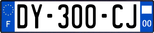 DY-300-CJ