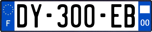 DY-300-EB