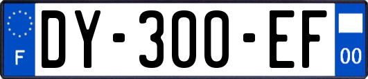 DY-300-EF