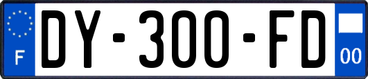 DY-300-FD