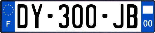 DY-300-JB