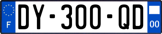 DY-300-QD