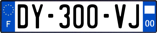 DY-300-VJ