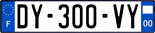 DY-300-VY