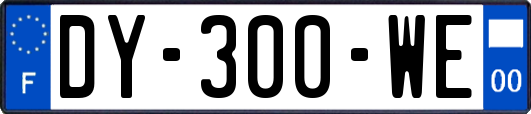 DY-300-WE