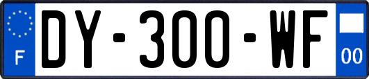 DY-300-WF