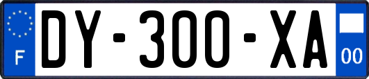 DY-300-XA