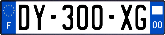 DY-300-XG