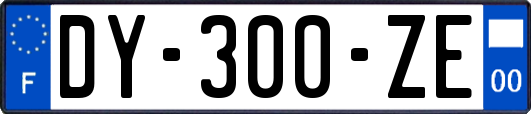 DY-300-ZE