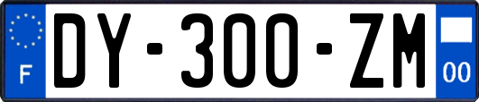 DY-300-ZM