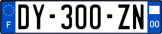 DY-300-ZN