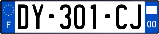 DY-301-CJ