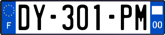 DY-301-PM