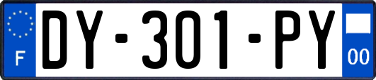 DY-301-PY