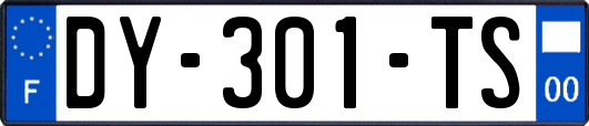 DY-301-TS