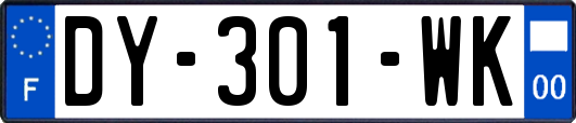 DY-301-WK