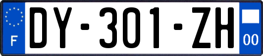 DY-301-ZH