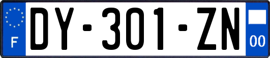 DY-301-ZN