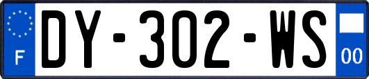 DY-302-WS