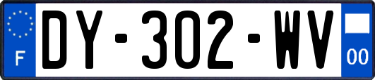 DY-302-WV