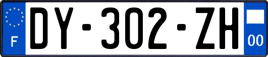 DY-302-ZH