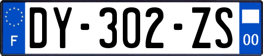 DY-302-ZS