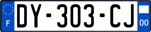 DY-303-CJ