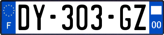 DY-303-GZ