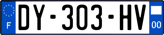 DY-303-HV