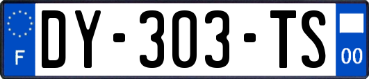 DY-303-TS