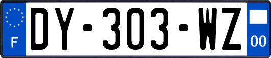 DY-303-WZ