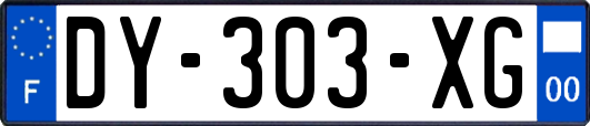 DY-303-XG