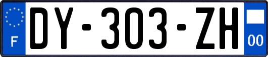 DY-303-ZH