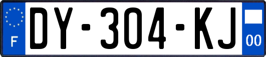 DY-304-KJ