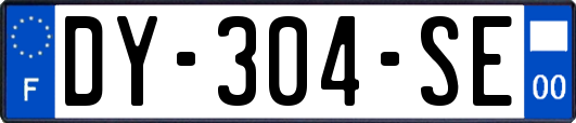 DY-304-SE