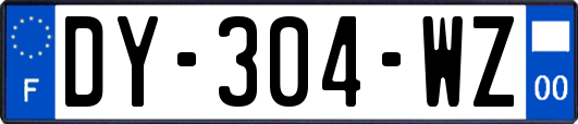 DY-304-WZ